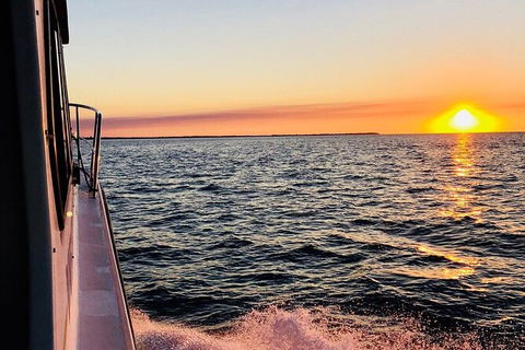 Hervey Bay Whale Swim And Watch - Northern Rivers Accommodation 7