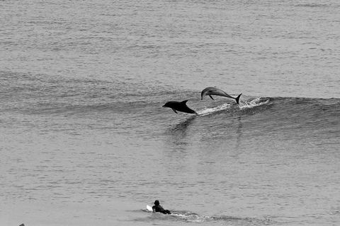Overnight Tweed Coast Camping And Surfing Getaway From The Gold Coast - Northern Rivers Accommodation 0