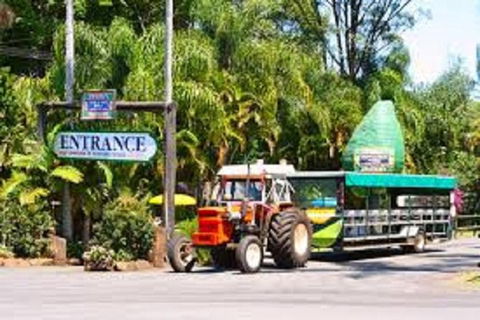 Tropical Fruit World With Wildlife Boat Cruise From Gold Coast - Northern Rivers Accommodation 0