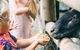 Tropical Fruit World With Wildlife Boat Cruise From Gold Coast - thumb 12