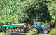 Tropical Fruit World With Wildlife Boat Cruise From Gold Coast - thumb 6
