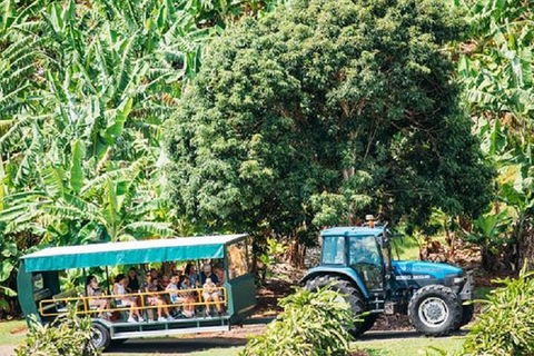 Tropical Fruit World With Wildlife Boat Cruise From Gold Coast - Northern Rivers Accommodation 6