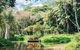 Tropical Fruit World With Wildlife Boat Cruise From Gold Coast - thumb 3