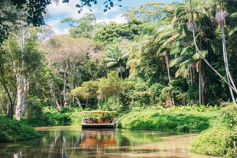 Tropical Fruit World With Wildlife Boat Cruise From Gold Coast - Northern Rivers Accommodation 11