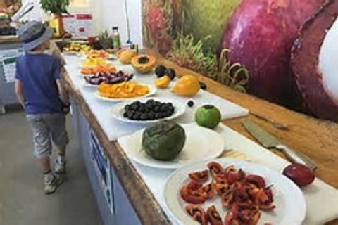 Tropical Fruit World With Wildlife Boat Cruise From Gold Coast - Northern Rivers Accommodation 9