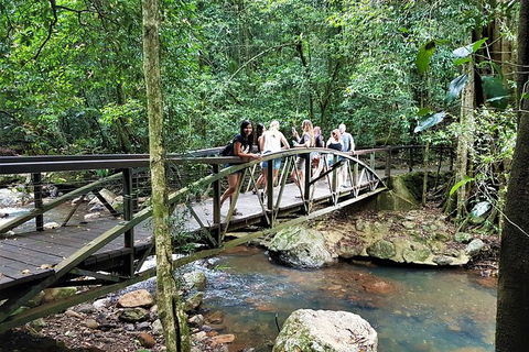 Springbrook Half Day Tour - Northern Rivers Accommodation 1
