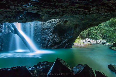 Springbrook Half Day Tour - Northern Rivers Accommodation 0