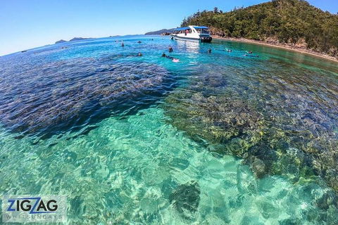 Whitehaven Beach Day Tour With Snorkel In Whitsundays Island - Northern Rivers Accommodation 8