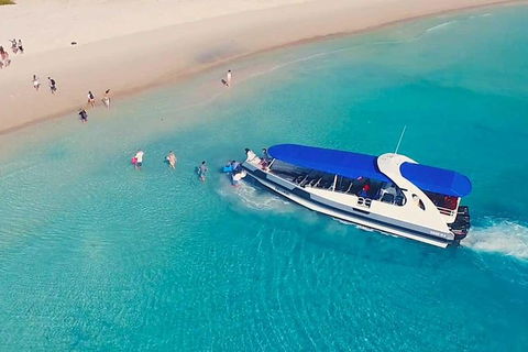 Whitehaven Beach Day Tour With Snorkel In Whitsundays Island - Northern Rivers Accommodation 9