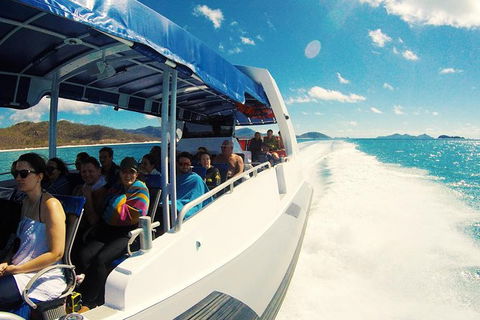 Whitehaven Beach Day Tour With Snorkel In Whitsundays Island - Northern Rivers Accommodation 21