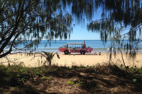 1770 Coastline Tour By LARC Amphibious Vehicle Including Picnic Lunch - Northern Rivers Accommodation 0