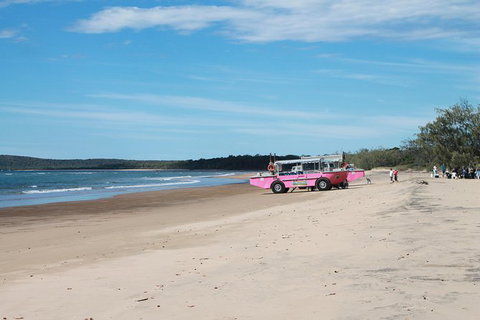 1770 Coastline Tour By LARC Amphibious Vehicle Including Picnic Lunch - Northern Rivers Accommodation 6
