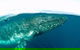Whale Watching And Surfers Paradise Day Trip From Brisbane - thumb 1