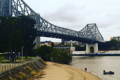 Brisbane River Guided Day Tour By Kayak - Northern Rivers Accommodation 1
