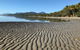 Guided Eco Segway Tours Four Mile Beach Port Douglas - thumb 4