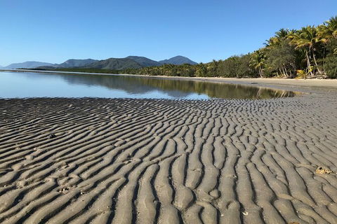 Guided Eco Segway Tours Four Mile Beach Port Douglas - Northern Rivers Accommodation 4
