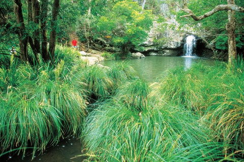 Explore Maleny, Montville, And Take A Swim Under The Waterfall. - Northern Rivers Accommodation 3