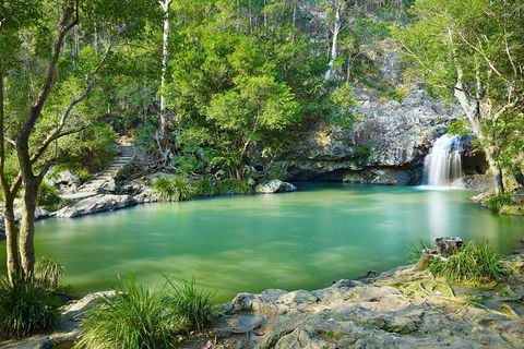 Explore Maleny, Montville, And Take A Swim Under The Waterfall. - Northern Rivers Accommodation 7