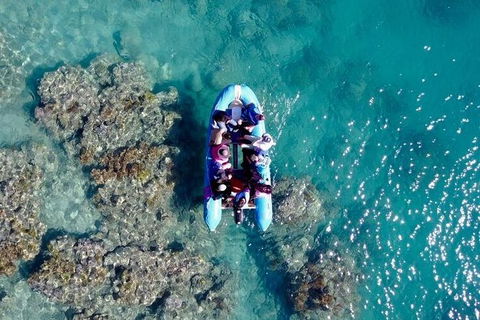 Glass-bottom Boat Tour With Whitehaven Beach - Northern Rivers Accommodation 0
