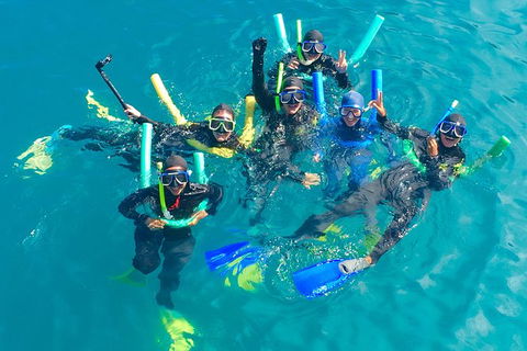 Glass-bottom Boat Tour With Whitehaven Beach - Northern Rivers Accommodation 1