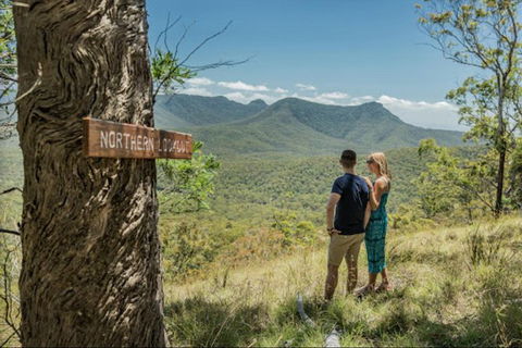 Queensland Food Tour: The Ultimate Delectable Full Day Experience - Northern Rivers Accommodation 1