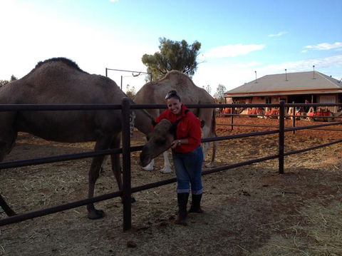 Uluru Small-Group Tour By Camel At Sunrise Or Sunset - Northern Rivers Accommodation 21