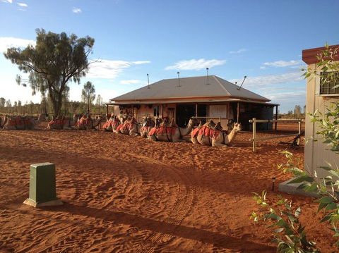 Uluru Small-Group Tour By Camel At Sunrise Or Sunset - Northern Rivers Accommodation 19