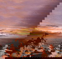 Darwin Harbour Sunset Cruise with Optional Buffet Dinner - Northern Rivers Accommodation