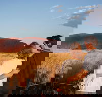 Uluru Ayers Rock Sunset with Outback Barbecue Dinner and Star Tour - Northern Rivers Accommodation