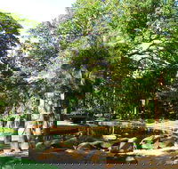 Darwin Afternoon Sightseeing Tour - Northern Rivers Accommodation