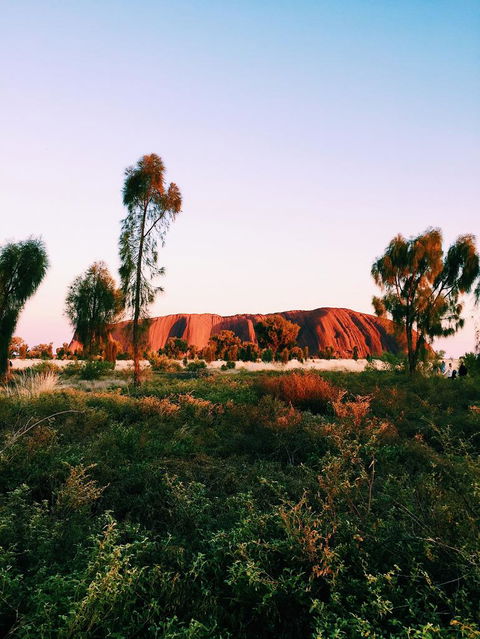 Uluru & Kata Tjuta Sights & Sounds - Northern Rivers Accommodation 3