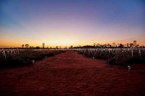 Uluru & Kata Tjuta Sights & Sounds - Northern Rivers Accommodation 16