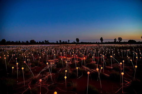 Uluru & Kata Tjuta Sights & Sounds - Northern Rivers Accommodation 8