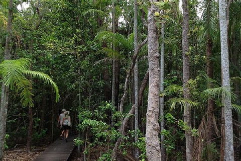 Litchfield National Park And Jumping Crocodile Cruise - Northern Rivers Accommodation 5