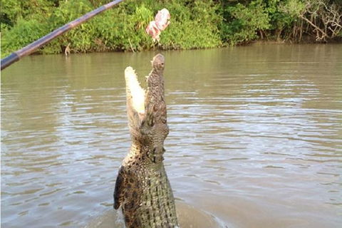 Litchfield National Park And Jumping Crocodile Cruise - Northern Rivers Accommodation 10