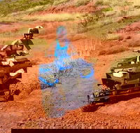 Aussie Outback Air and Land Tour Including Quad Bike Ride - Northern Rivers Accommodation