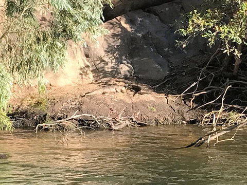 Nitmiluk (Katherine) Gorge 3.5-Hour Sunset Dinner Boat Tour - Northern Rivers Accommodation 4