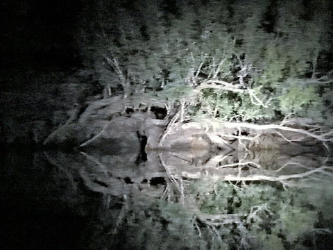 Nitmiluk (Katherine) Gorge 3.5-Hour Sunset Dinner Boat Tour - Northern Rivers Accommodation 8