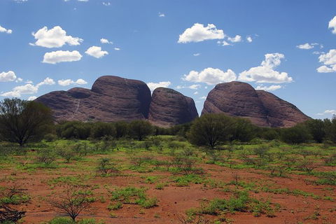 Uluru (Ayers Rock) And The Olgas Tour Including Sunset Dinner From Alice Springs - Northern Rivers Accommodation 0