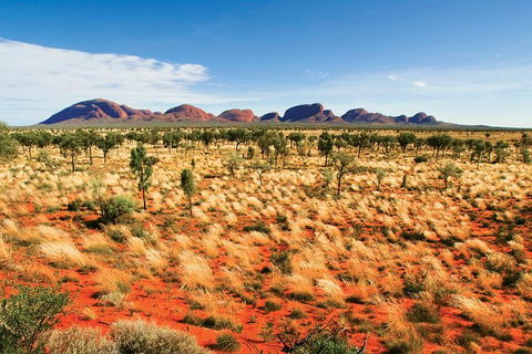 2-Day Uluru (Ayers Rock) And Kata Tjuta Trip From Alice Springs - Northern Rivers Accommodation 9