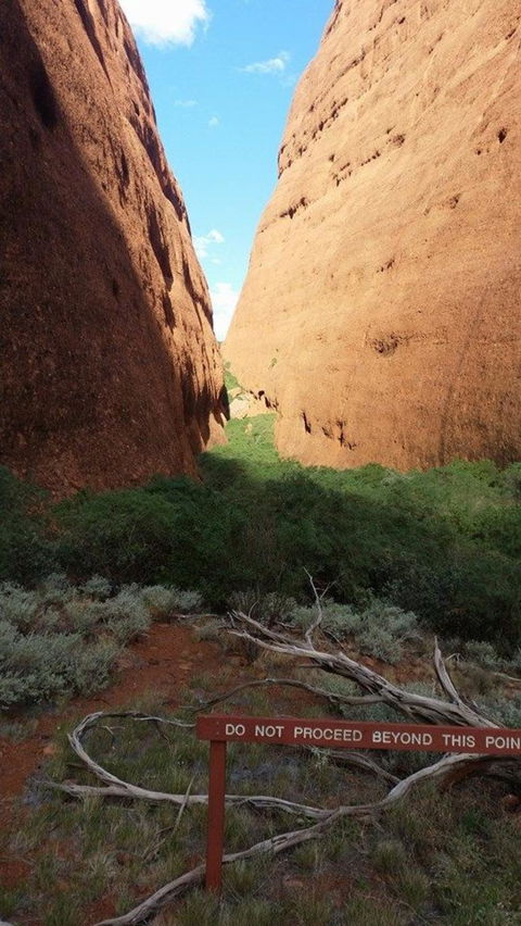 Kata Tjuta Sunrise And Valley Of The Winds Half-Day Trip - Northern Rivers Accommodation 4