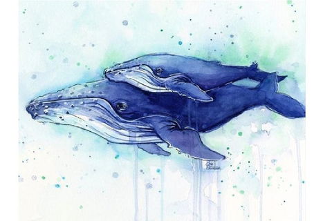A Day At Sea - Six Tanks 3.00-5.00pm - Northern Rivers Accommodation 0
