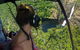 60 Minute Scenic Flight - Litchfield National Park - thumb 0