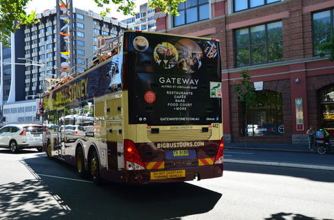 Big Bus Sydney And Bondi Hop-on Hop-off Tour - Northern Rivers Accommodation 10