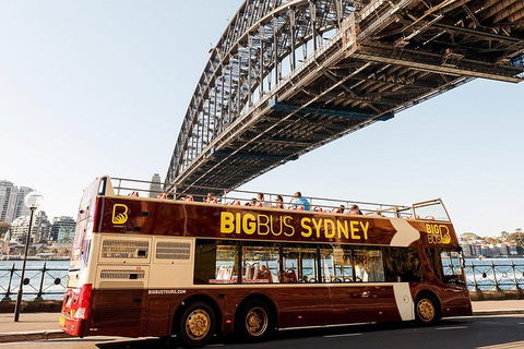 Big Bus Sydney And Bondi Hop-on Hop-off Tour - Northern Rivers Accommodation 26