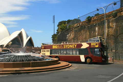 Big Bus Sydney And Bondi Hop-on Hop-off Tour - Northern Rivers Accommodation 34