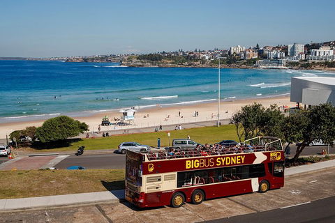 Big Bus Sydney And Bondi Hop-on Hop-off Tour - Northern Rivers Accommodation 33