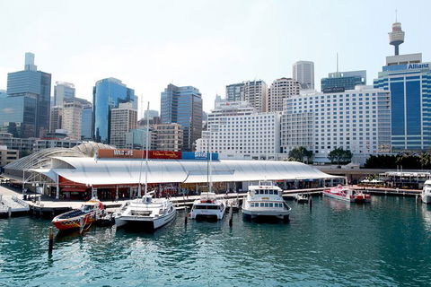 Sydney Attraction Pass: Darling Harbour Experience Ticket - Northern Rivers Accommodation 0