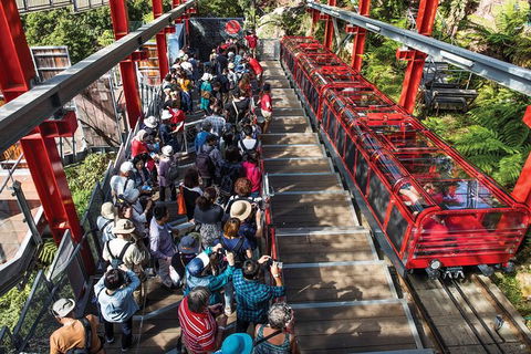 Private Guided Tour: Blue Mountains Tour From Sydney - Northern Rivers Accommodation 10
