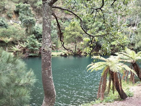 Jenolan Caves And Blue Mountains Tour From Sydney - Northern Rivers Accommodation 2